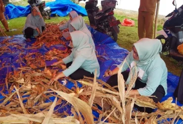 Kelompok petani perempuan di Desa Toyidito, Kecamatan Pulubala, Kabupaten Gorontalo saat memotong bahan baku pupuk organik. Foto: Dok banthayo.